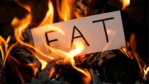 ステッパー中に脂肪が“燃え始めたサイン”知ってますか? Dec. 2