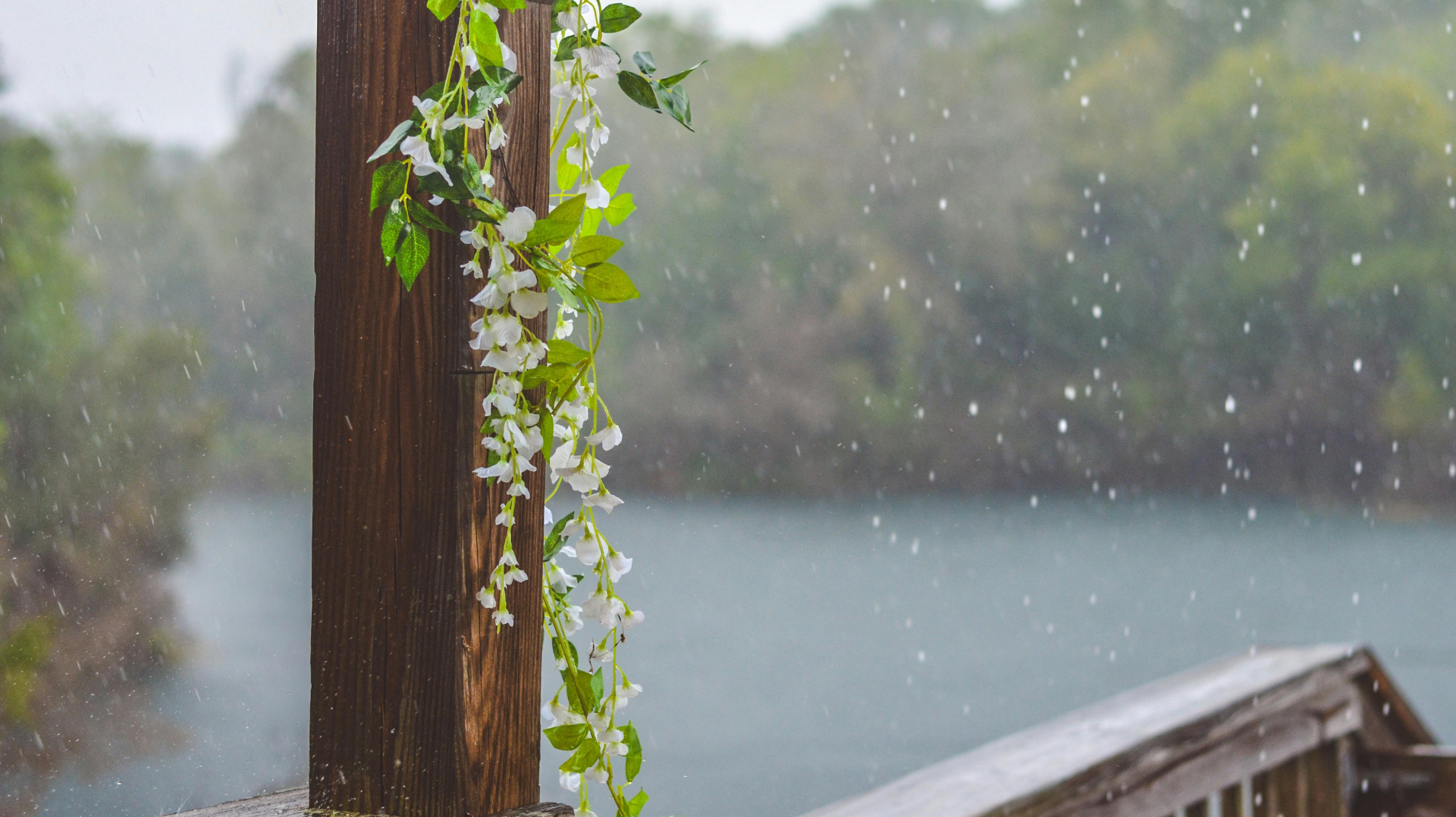 もうすぐ梅雨、今のうちに読んでほしい話があります May.29
