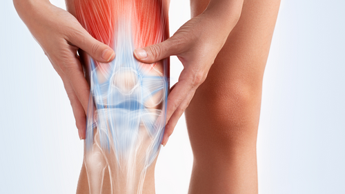 ヘブンリーステッパーが膝や脚力ケアに有利な理由 Sep 26,