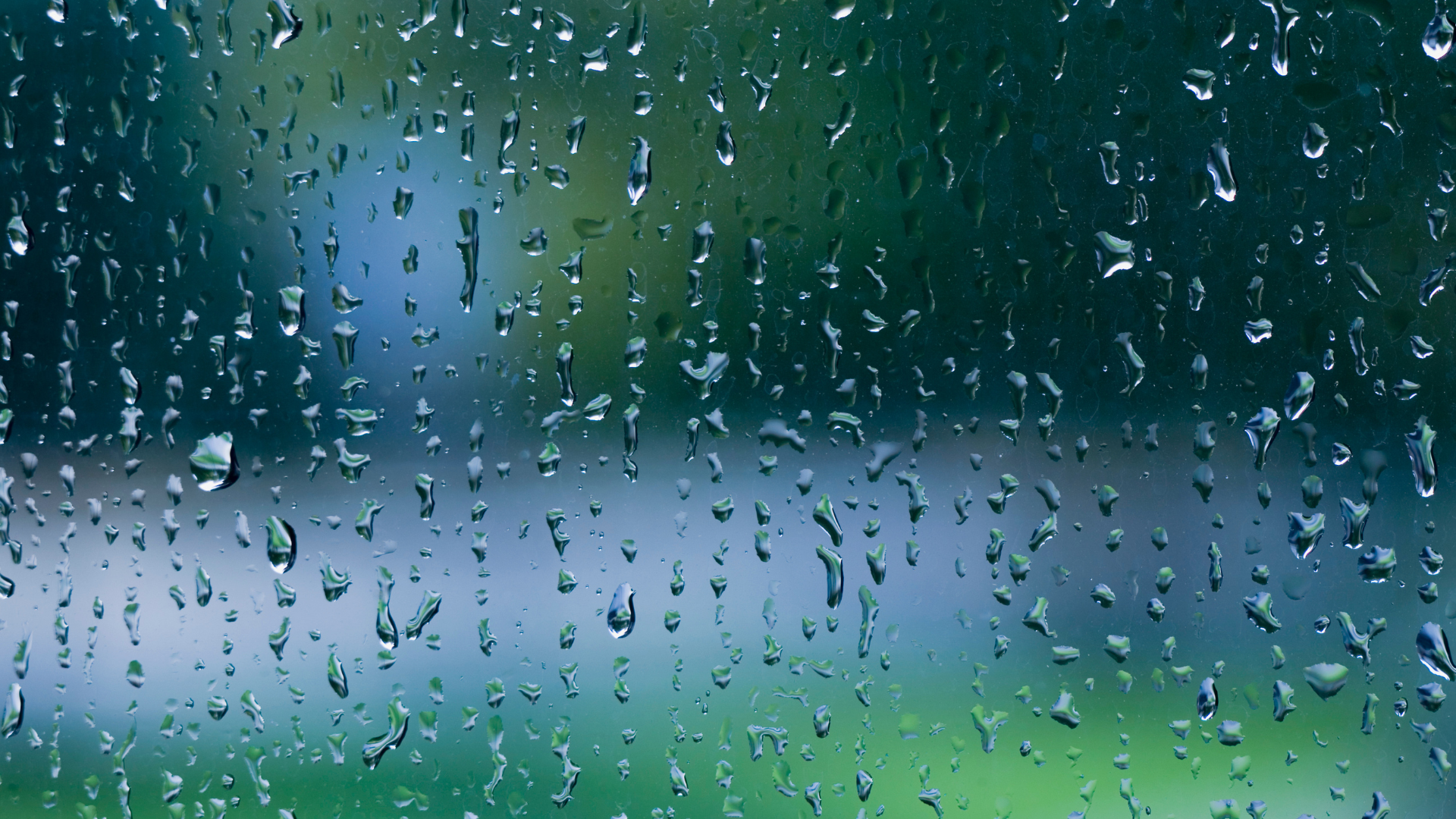 雨だから休む日ではなくて、雨だから動く日にした方がいい。　Sep.10