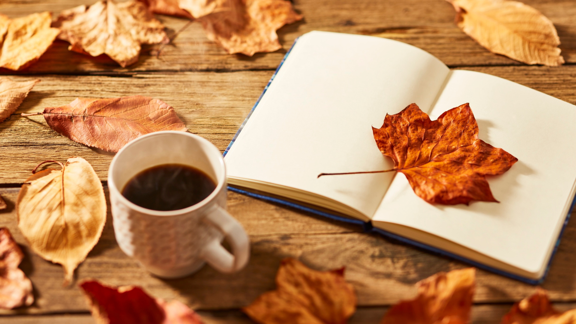 紅葉の季節こそ外で動きたくなる、でも室内運動をメインにすべき理由　Oct.20
