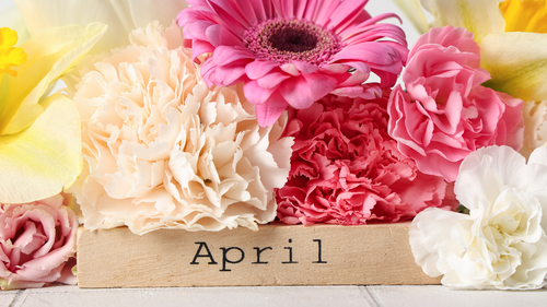 1月1日より4月1日の方が、習慣が作りやすい話。　Apr. 1