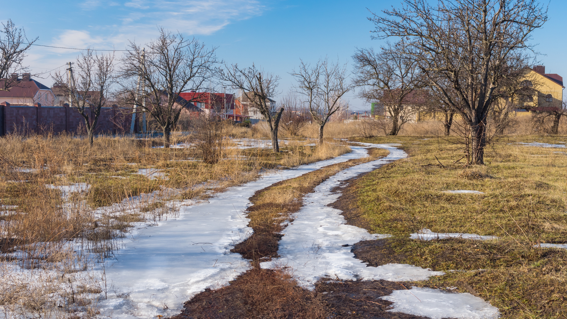 実は夏まで、思ったより時間ありません。冬の安心感、そろそろ終了な件　Feb. 18