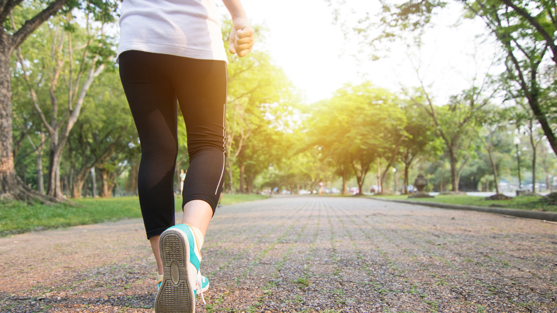 朝に動く人は痩せやすい？代謝とホルモンの話　Jun16,