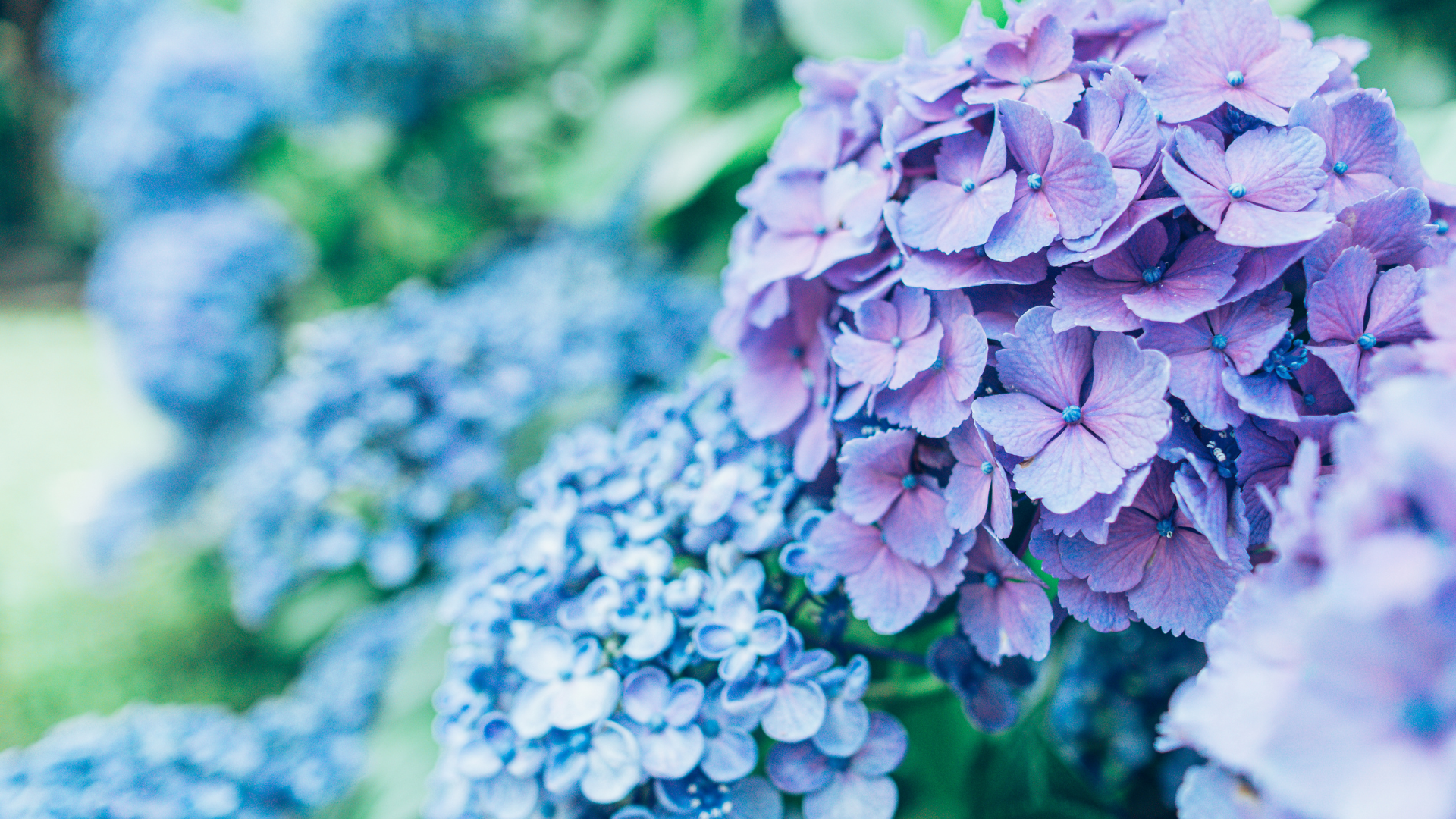 梅雨の時期はむくみやすい　Jun9,